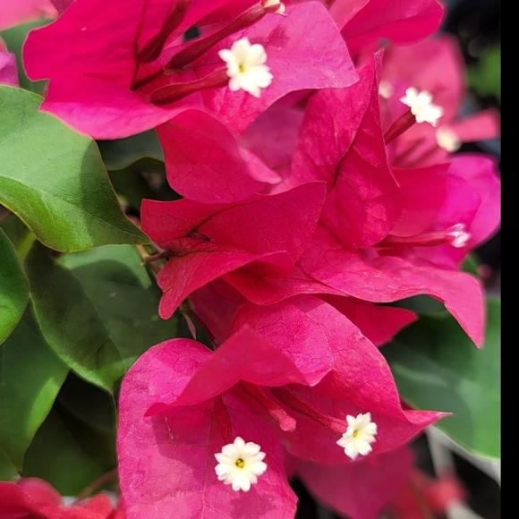 Welcome to the Closet! - Picture 13 of 16